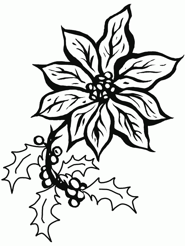 Kolorowanka: Poinsecja i Ostrokrzew - Świąteczna Kreatywność kolorowanka do druku